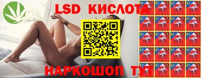 дмт Будённовск