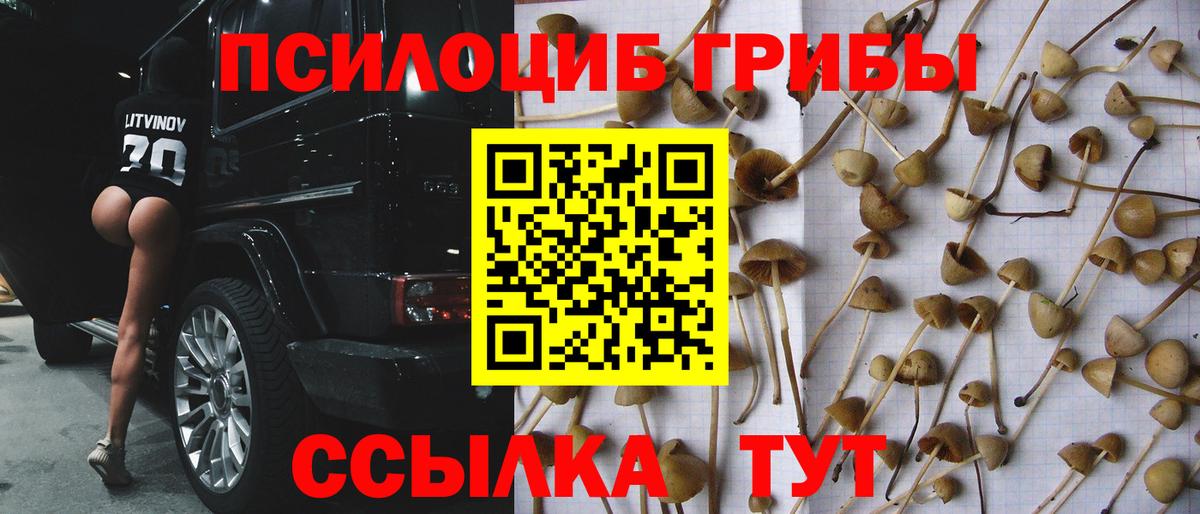 Псилоцибиновые грибы ЛСД Ухта