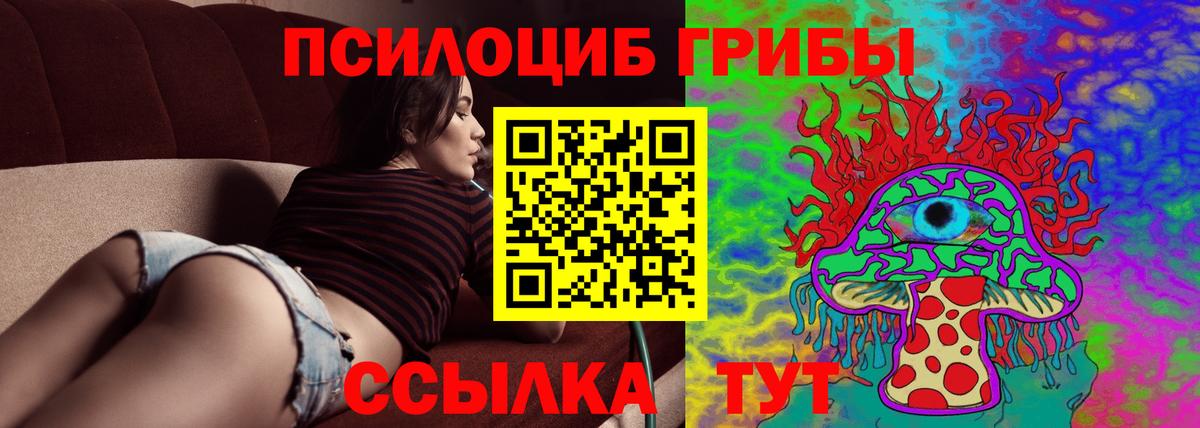 Псилоцибиновые грибы Psilocybine cubensis  Псилоцибиновые грибы прущие грибы  продажа наркотиков  Вход с VPN  Ухта 